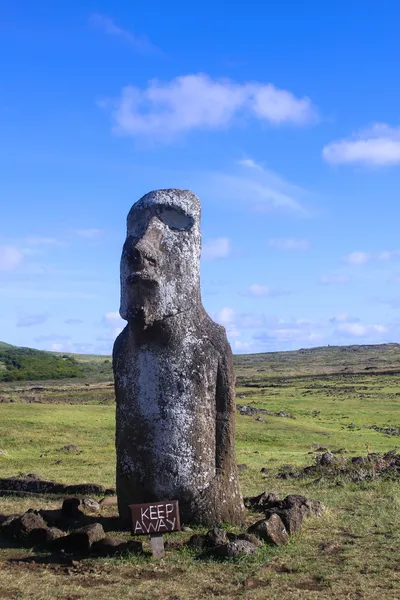 Moai άγαλμα στο νησί του Πάσχα, Χιλή — Φωτογραφία Αρχείου