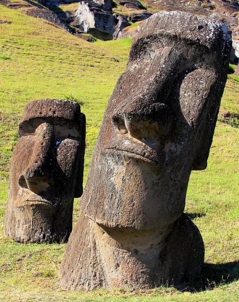 Moai em Quarry, Ilha de Páscoa, Chile — Fotografia de Stock
