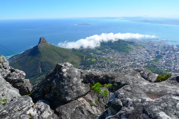 Львиная голова и Кейптаун, Южная Африка, вид с вершины Столовой горы . — стоковое фото