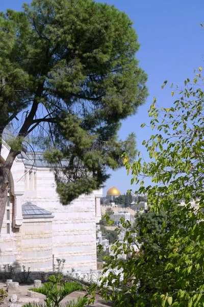 Oude stad van Jeruzalem, zijaanzicht — Stockfoto