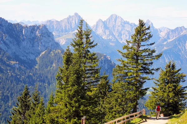 Piesze wycieczki w Alpy Bawarskie, Niemcy — Zdjęcie stockowe