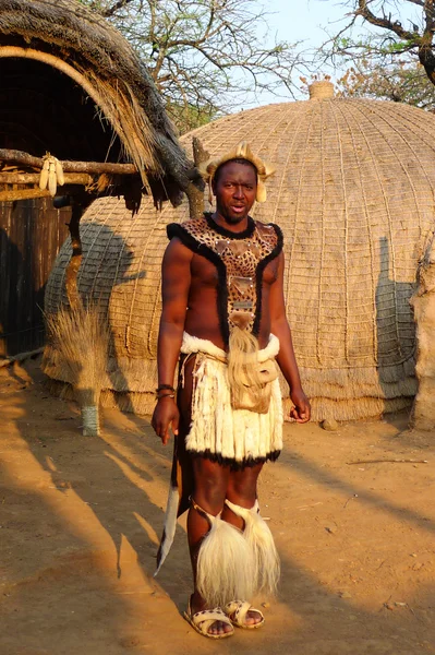 Guerrero zulú con ropa tradicional en Shakaland Zulu Village, Sudáfrica — Foto de Stock