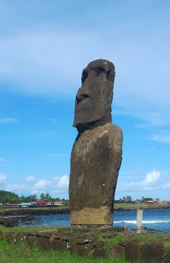 Moai beach, Doğu Adası, Şili