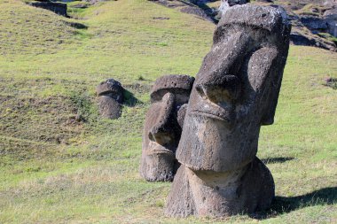 Moai taş ocağı, Paskalya Adası, Şili