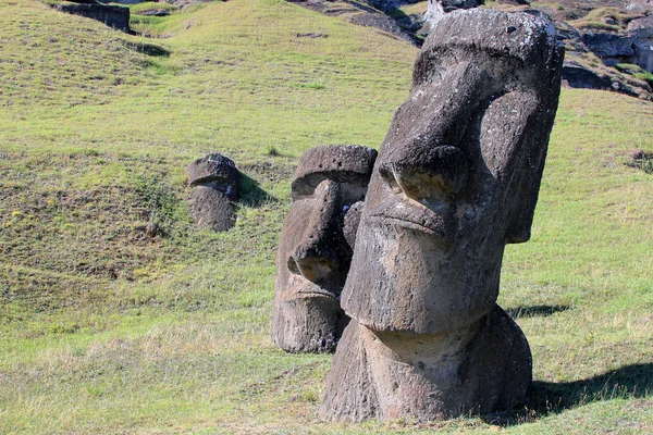 Moai w kamieniołomie, Wyspa Wielkanocna, chile — Zdjęcie stockowe