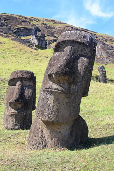 Moai w kamieniołomie, Wyspa Wielkanocna, chile — Zdjęcie stockowe