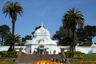 san Francisco golden gate Parkı bina çiçek Konservatuarı