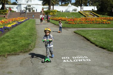 san Francisco golden gate Parkı güneşli gün aileler zevk