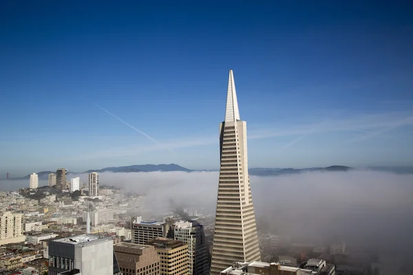 Vista reale sulla piramide Transamerica e sulla città di San Francisco ricoperta da una fitta nebbia — Foto Stock