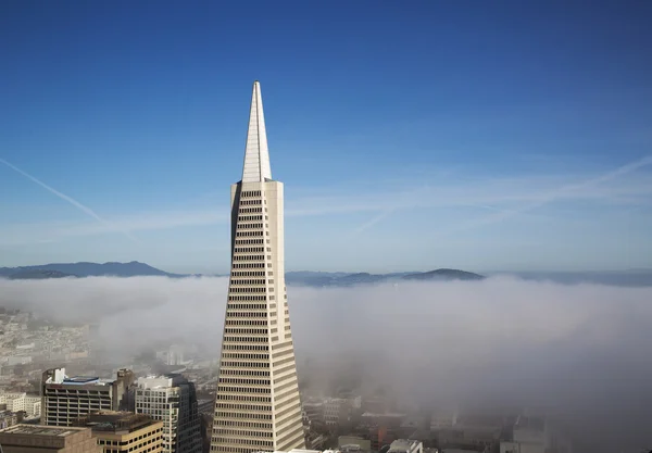 Areal uitzicht op transamerica pyramid en stad van san francisco bedekt door dichte mist — Stockfoto