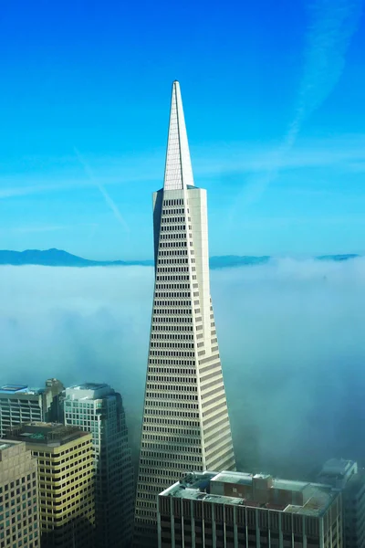 Vista real de la pirámide de Transamérica y la ciudad de San Francisco cubierta por una densa niebla — Foto de Stock