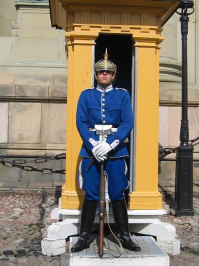 Stockholm, İsveç Kraliyet Sarayı koruyan Kraliyet Muhafızı