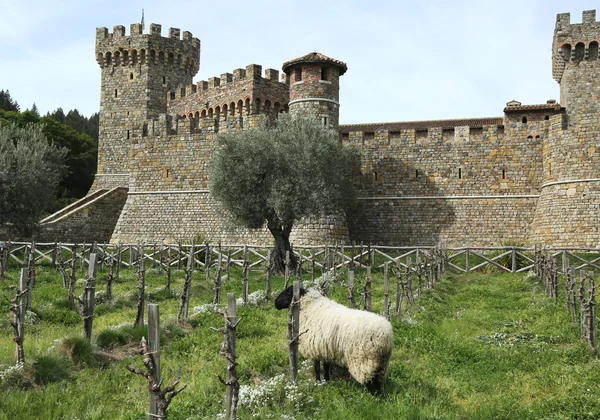 Bodega Castello di Amorosa en el Valle de Napa . —  Fotos de Stock