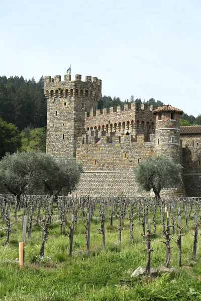 Castello di amorosa winnicy w dolinie napa. — Zdjęcie stockowe