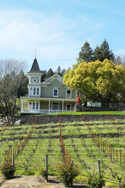 St. clement üzüm bağları napa Valley