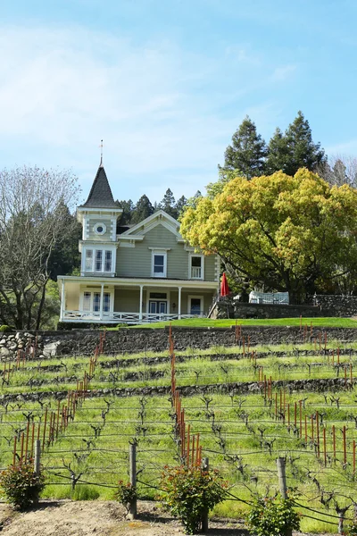St. clement vingårdar i napa valley — Stockfoto