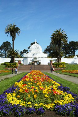 san Francisco golden gate Parkı bina çiçek Konservatuarı