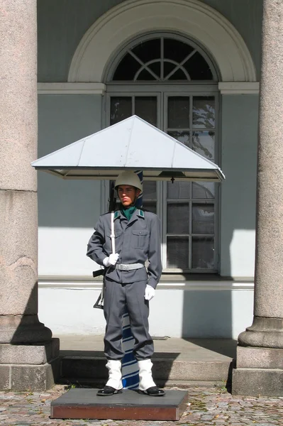 Finse Soldaat bewaken presidentiële paleis in helsinki, finland — Stockfoto