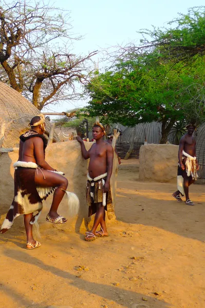 Guerreros zulúes en Shakaland Zulu Village, Sudáfrica — Foto de Stock