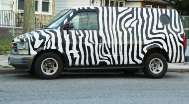Van boyalı zebra