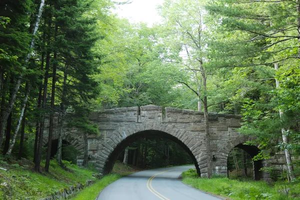 Jembatan Stanley Brook di Taman Nasional Acadia — Stok Foto