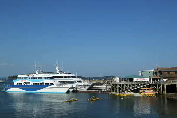 Wieloryb oglądania łodzi i kajaków w zabytkowy bar harbor, maine — Zdjęcie stockowe