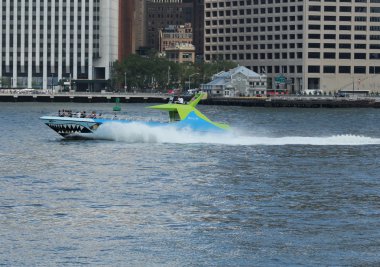 new york limanındaki köpekbalığı sürat teknesi