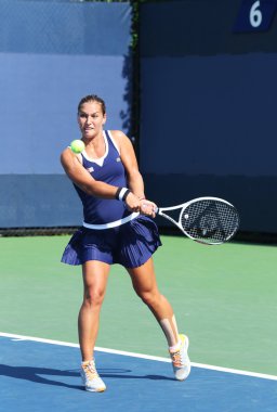profesyonel tenis oyuncusu dominika cibulkova Slovakya üzerinden bize onun ilk tur maç sırasında açık 2013