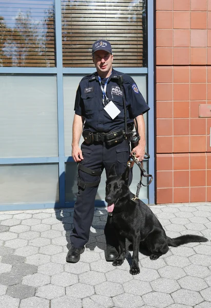 NYPD bureau de transit K-9 policier et berger allemand K-9 Taylor assurant la sécurité au Centre national de tennis lors de l'US Open 2013 — Photo