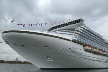 brooklyn cruise terminal Emerald princess cruise gemi yanaştı