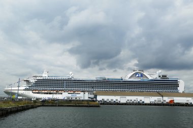 brooklyn cruise terminal Emerald princess cruise gemi yanaştı
