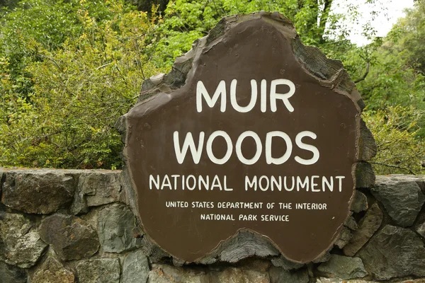 Narodowy pomnik Muir Woods — Zdjęcie stockowe