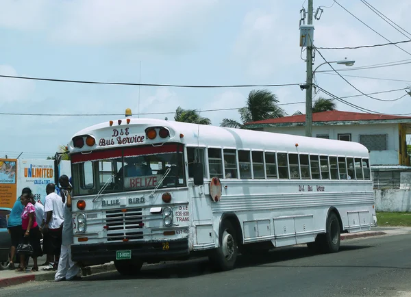 Belize City otobüs durağı — Stok fotoğraf