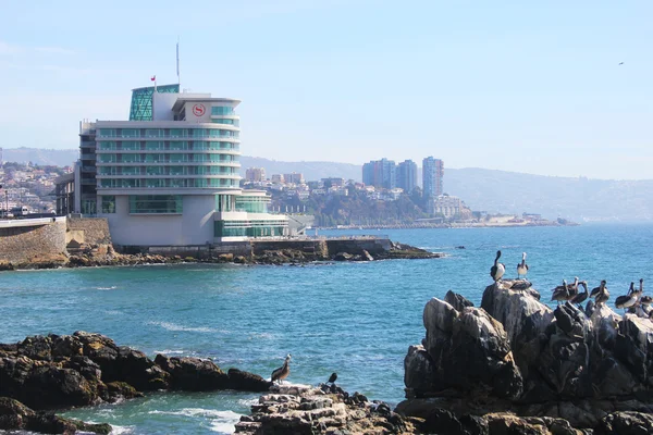 Sheraton Miramar Hotel and Convention Center w Vina Del Mar, Chile — Zdjęcie stockowe