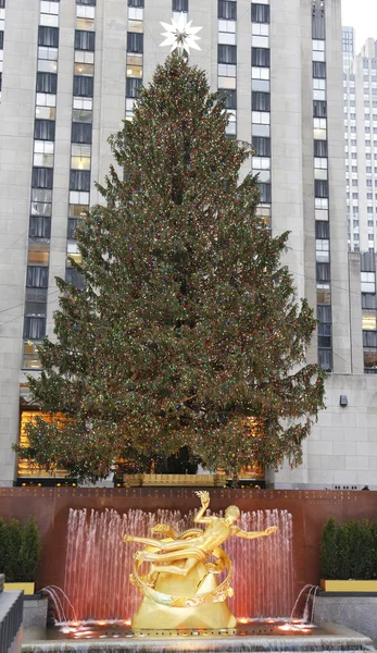 Rockefeller Center Christmas Tree and statue of Prometheus at the Lower Plaza of Rockefeller Center in Midtown Manhattan