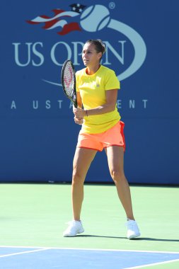 profesyonel tenis oyuncusu flavia pennetta İtalya'dan uygulamalar bizim için açık 2013, arthur ashe Stadyumu