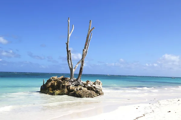 Pięknej plaży w punta cana, Dominikana — Zdjęcie stockowe