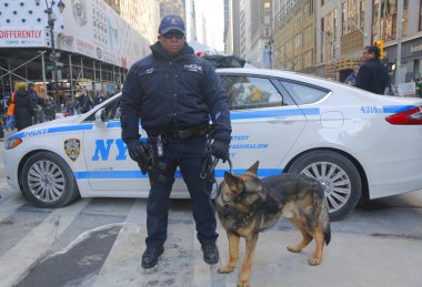 New York transit büro k-9 polis memuru ve k-9 Alman çoban süper kase xlviii hafta Manhattan broadway güvenlik sağlama