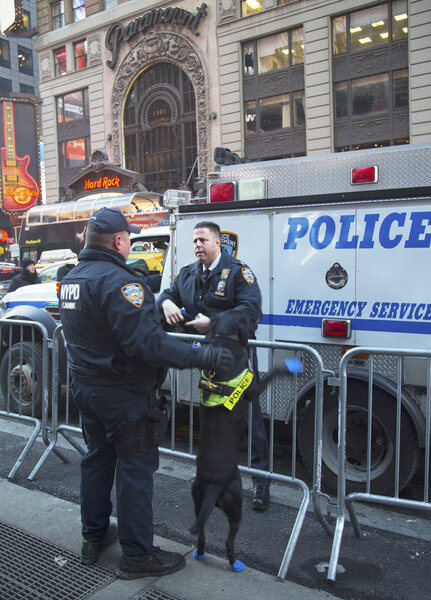 Транзитное бюро полиции Нью-Йорка Офицер полиции К-9 и собака К-9 обеспечивают охрану на Таймс-сквер в течение недели Суперкубка XLVIII на Манхэттене
