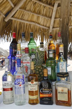 Şimdi larimar her şey dahil otel punta cana, Dominik Cumhuriyeti, plaj barda yerli ve yabancı içecekler