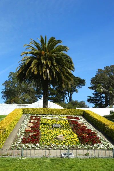 Reloj de flores en el Conservatorio de Flores en el Golden Gate Park en San Francisco —  Fotos de Stock