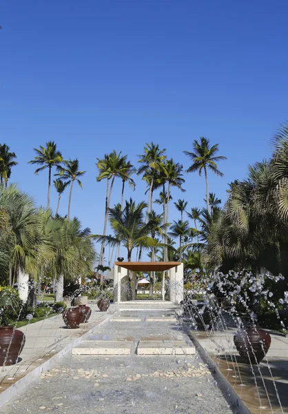 プンタカナ、ドミニカ共和国でババロ ビーチに位置する今ラリマー オールインクルーシブのホテル — ストック写真