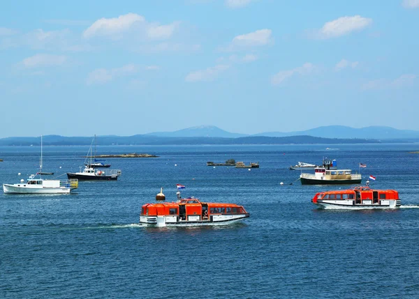 Holland America Nave da crociera Maasdam tender boats at Frenchman Bay in Bar Harbor, Maine — Foto Stock