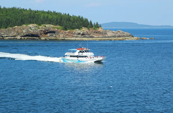 Acadia Milli Parkı içinde Fransız Koyu'ndaki deniz feneri turları tekne — Stok fotoğraf