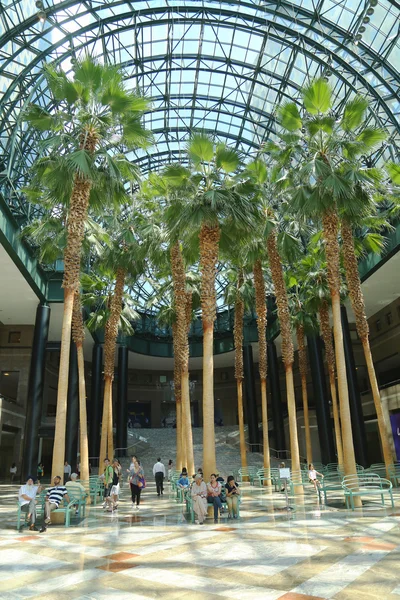 Jardín de invierno del Centro Financiero Mundial — Foto de Stock