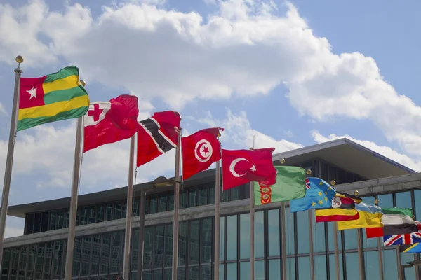 Drapeaux internationaux devant le Siège des Nations Unies à New York — Photo