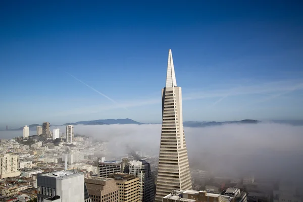 Vista real de la pirámide de Transamérica y la ciudad de San Francisco cubierta por una densa niebla — Foto de Stock