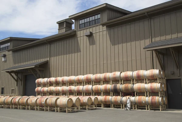 Oak barrels at the vineyard — Stock Photo, Image