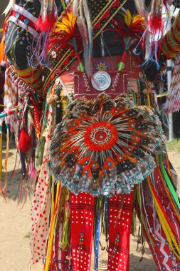 ayrıntı tek tüy telaş erkekler s geleneksel dans Amerikan pow wow kıyafeti