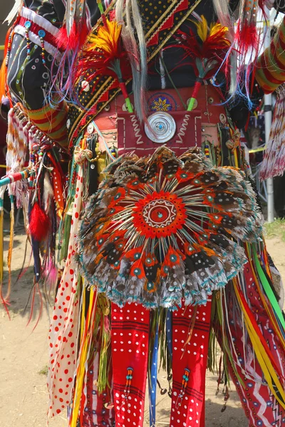 Detail of the single feather bustle of a men s traditional dance Native American Pow Wow outfit — Stock Photo, Image